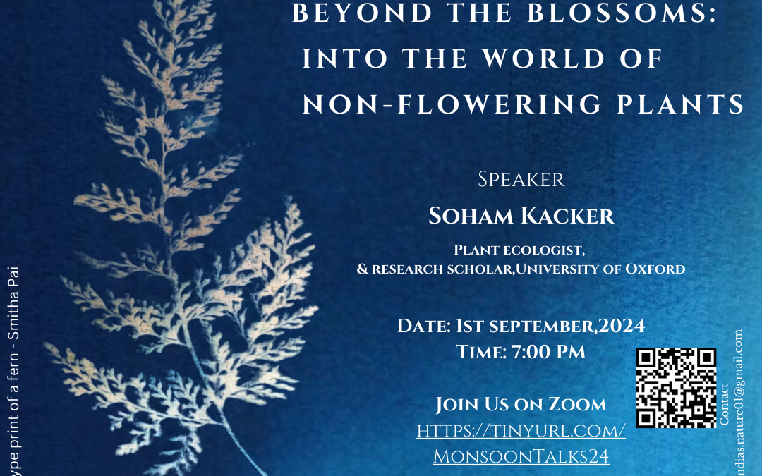 Monsoon Beauty Talk – Beyond the Blossoms: into the world of non-flowering plants~by India’s Nature