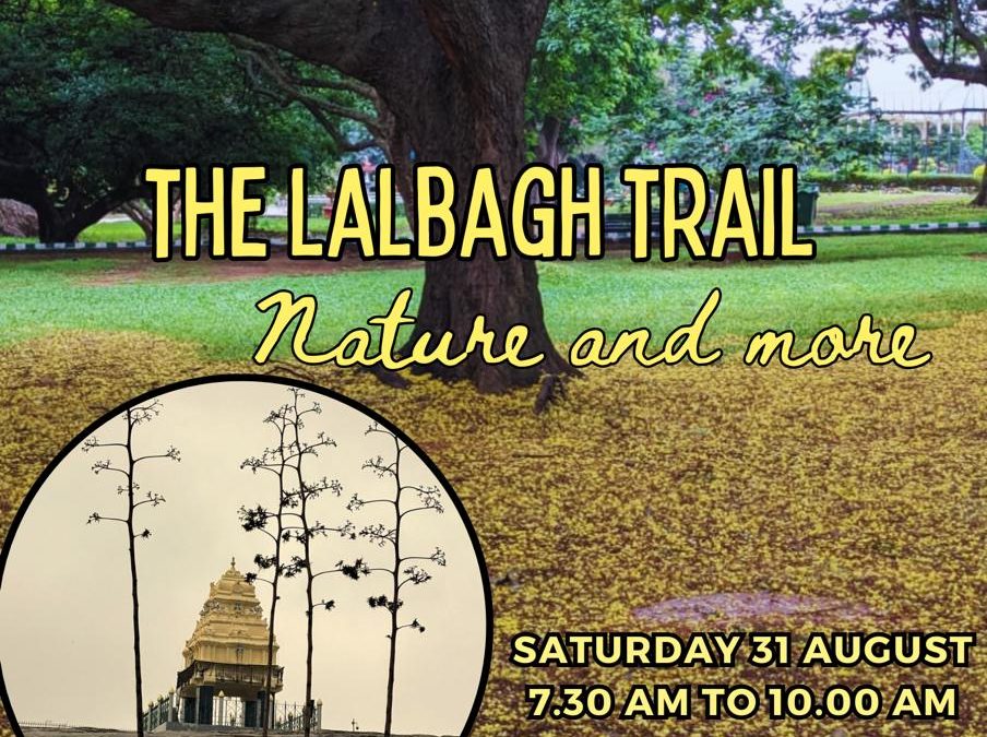 The Lalbagh Trail ~ by KoraWalks