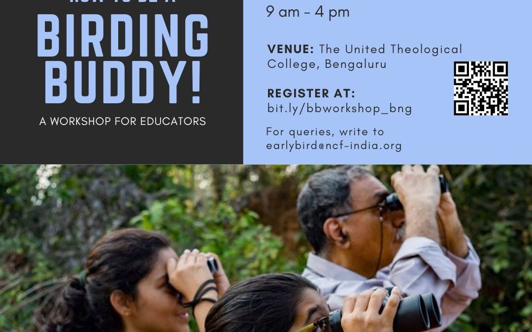 How to be a birding buddy!