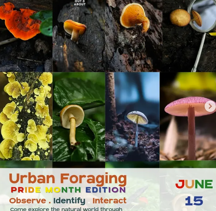 Urban Foraging Pride Month Edition