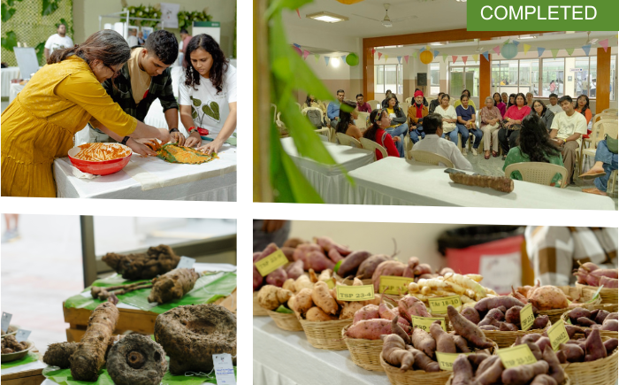 Tubers and Sustainability Programme